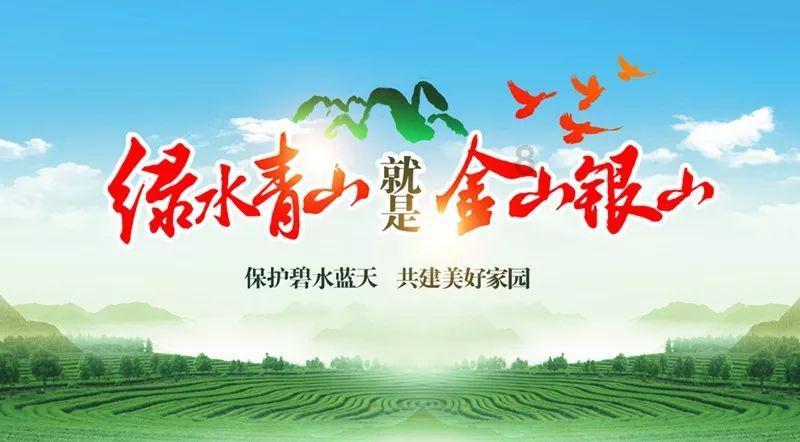 狐狸的旅程